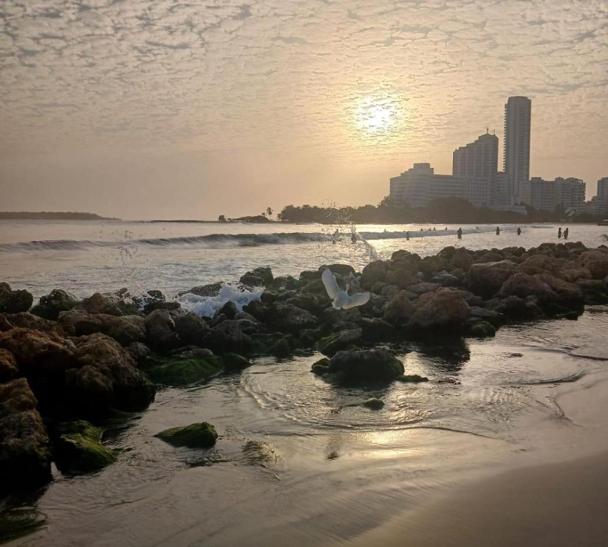 Apartamento Luxury Duplex Bocagrande With Bay & Ocean *